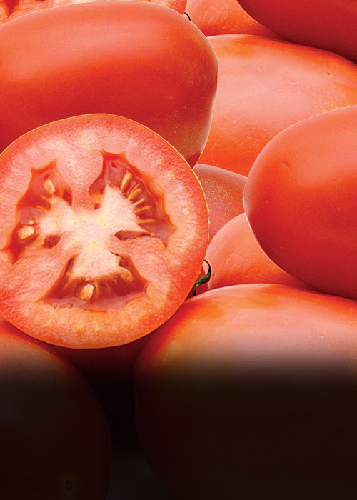 roma-tomatoes-17MR138C
