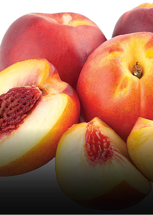 nectarines_17FB322C